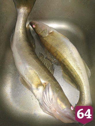 На набережной Саратова ловят последних судаков